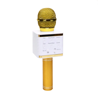 Hangszóró, Mikrofon + hangszóró egyben TF | USB |